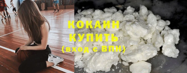 дживик Аркадак